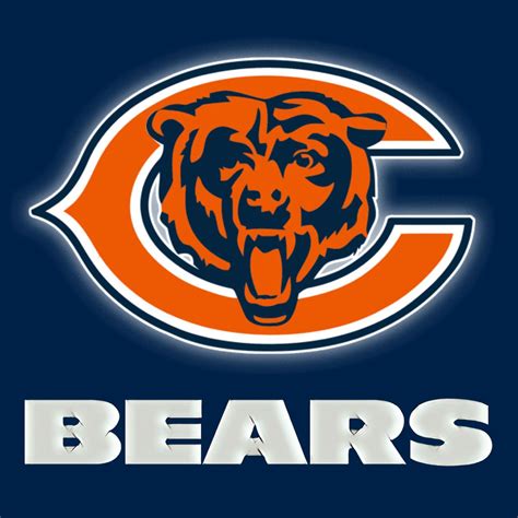 bears .